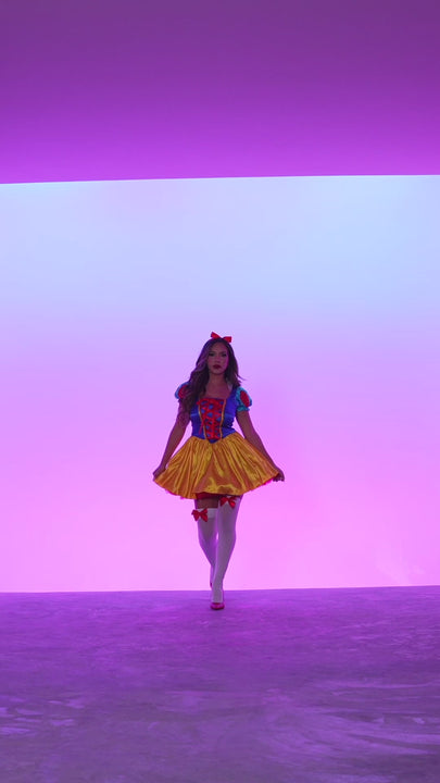 Leg Avenue Fairytale Snow White Costume